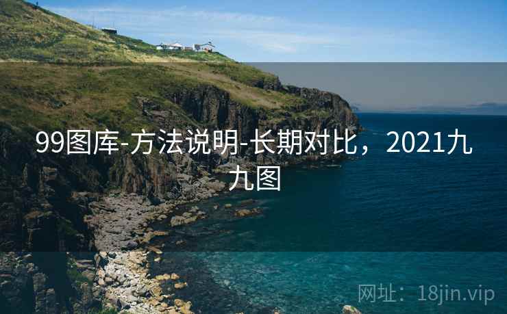 99图库-方法说明-长期对比，2021九九图
